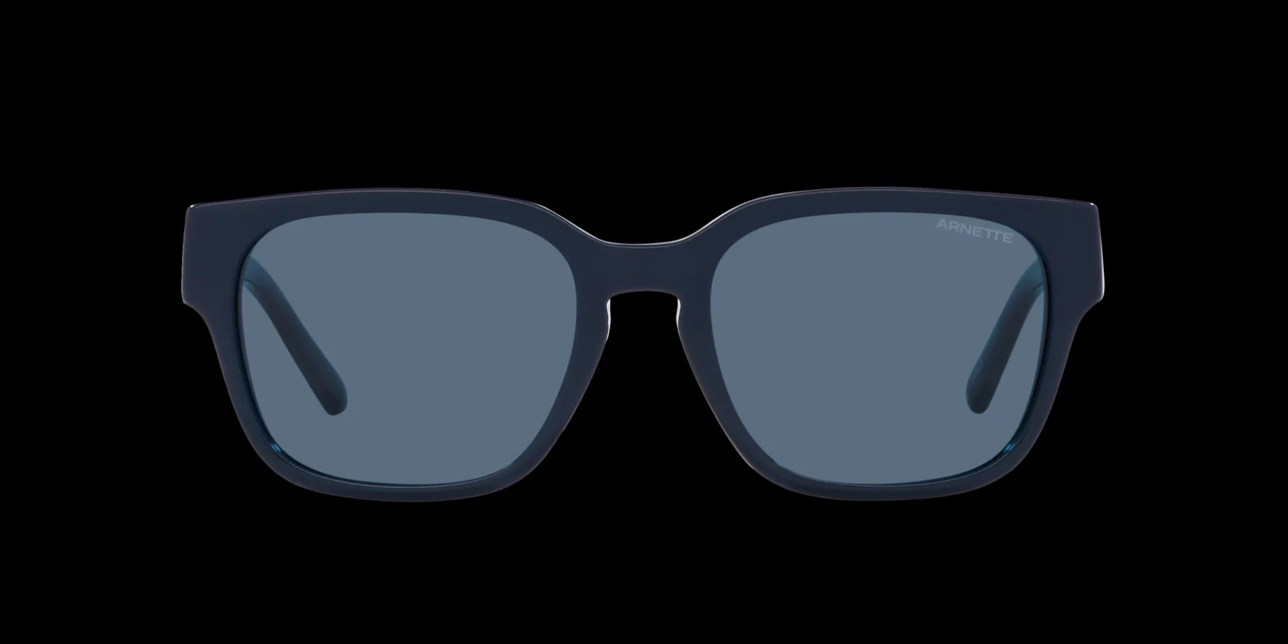 Gafas de sol Arnette TYPE Z 0AN4294