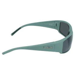 Gafas de sol Bollé KING BS026005