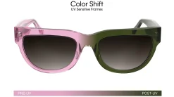 Gafas de sol Calvin Klein CKJ25600S