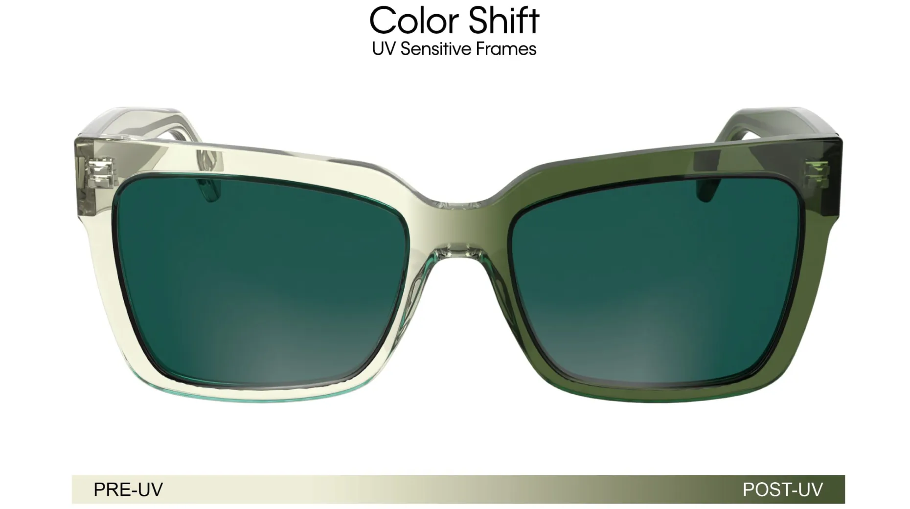 Gafas de sol Calvin Klein CKJ24606S