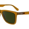 Gafas de sol Calvin Klein CKJ24601S