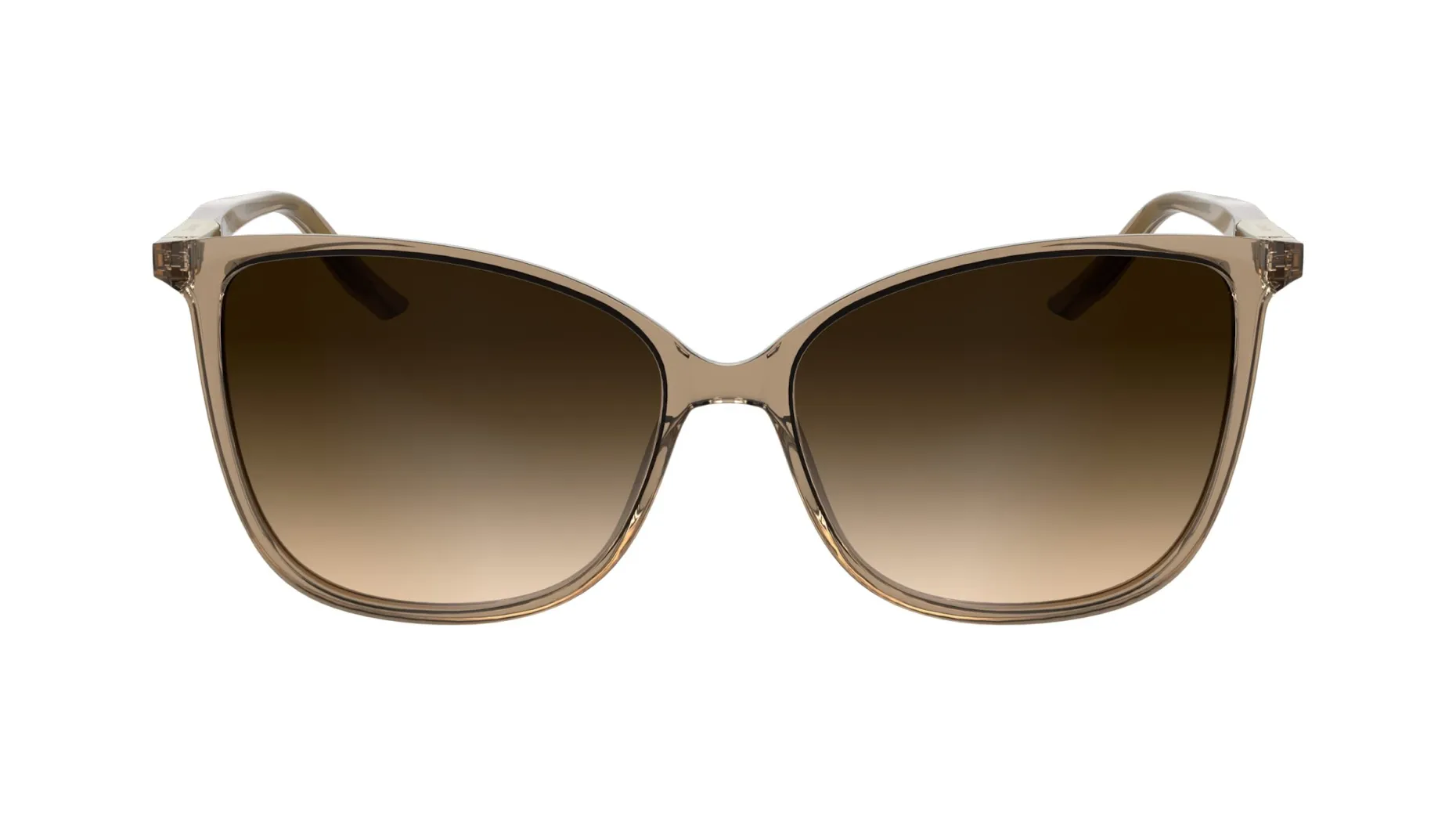 Gafas de sol Calvin Klein CK25504S