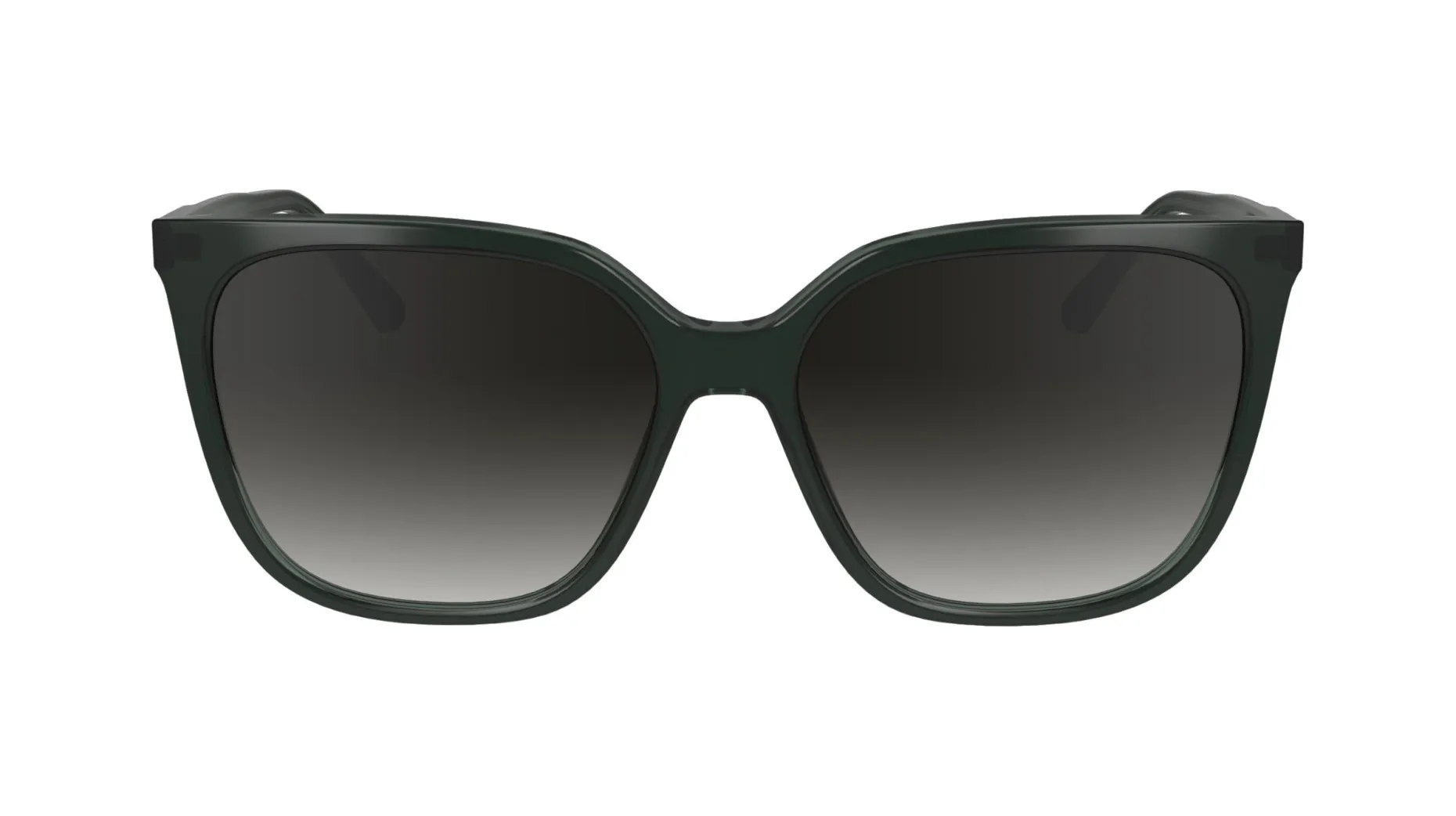 Gafas de sol Calvin Klein CK24509S
