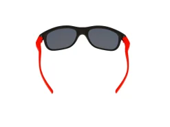 Gafas de sol Julbo ARCADE J556