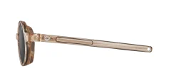 Gafas de sol Julbo WALK J563
