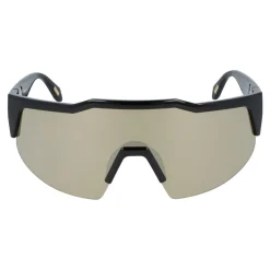 Gafas de sol Just Cavalli SJC154