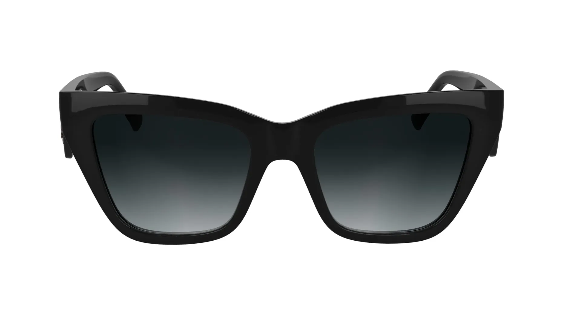 Gafas de sol Karl Lagerfeld KL6184S