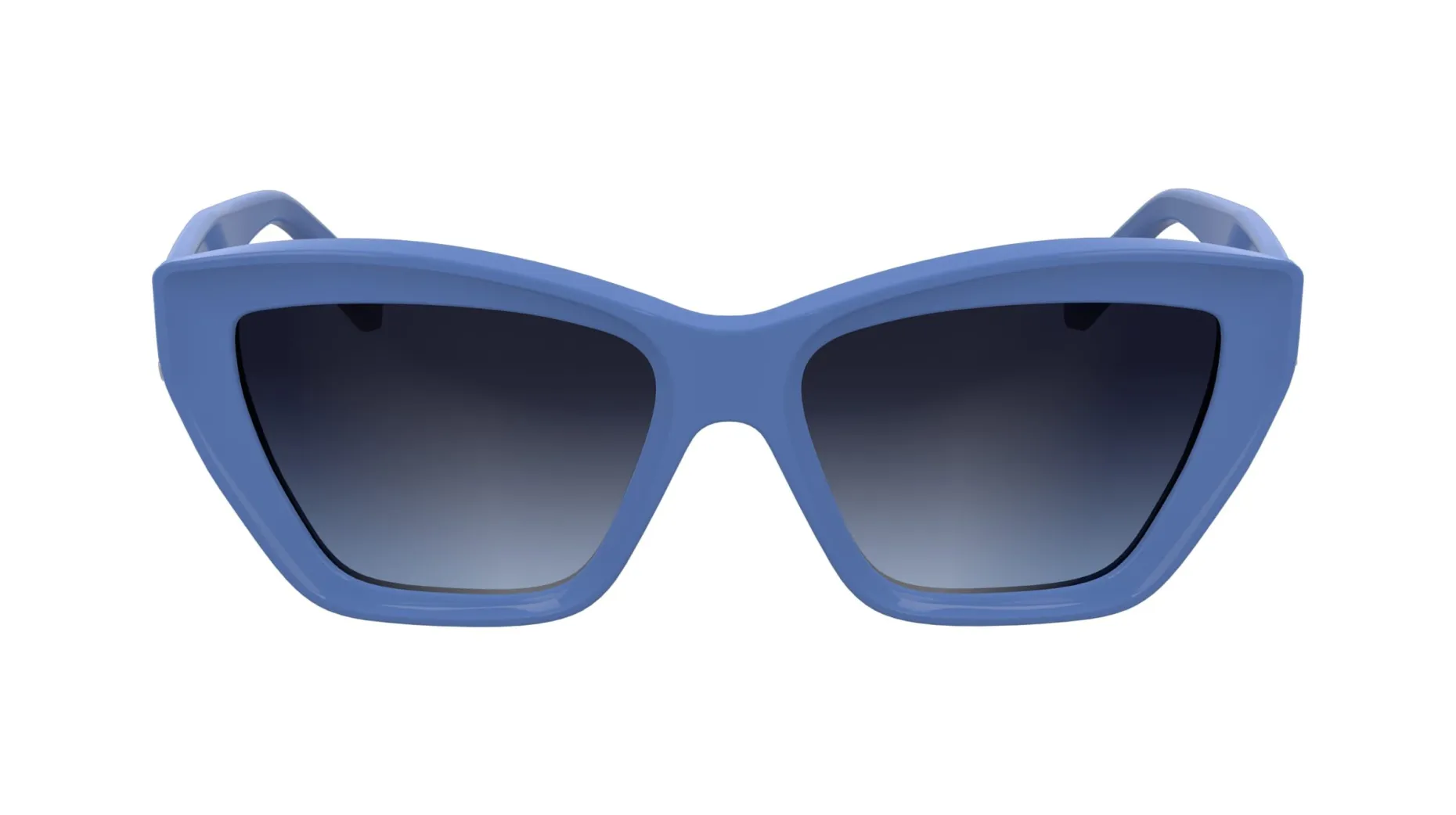 Gafas de sol Karl Lagerfeld KL6179S