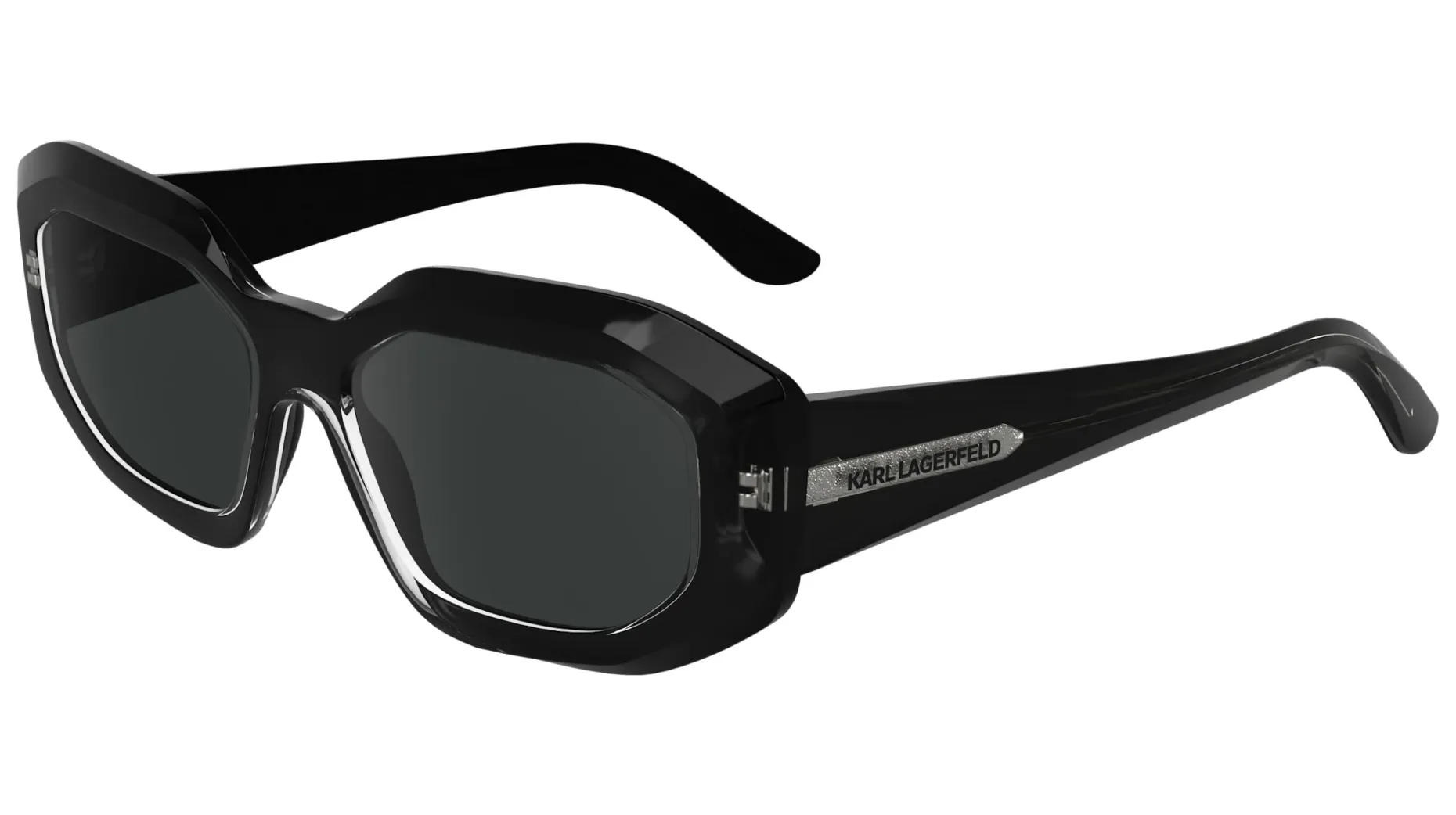 Gafas de sol Karl Lagerfeld KL6167S