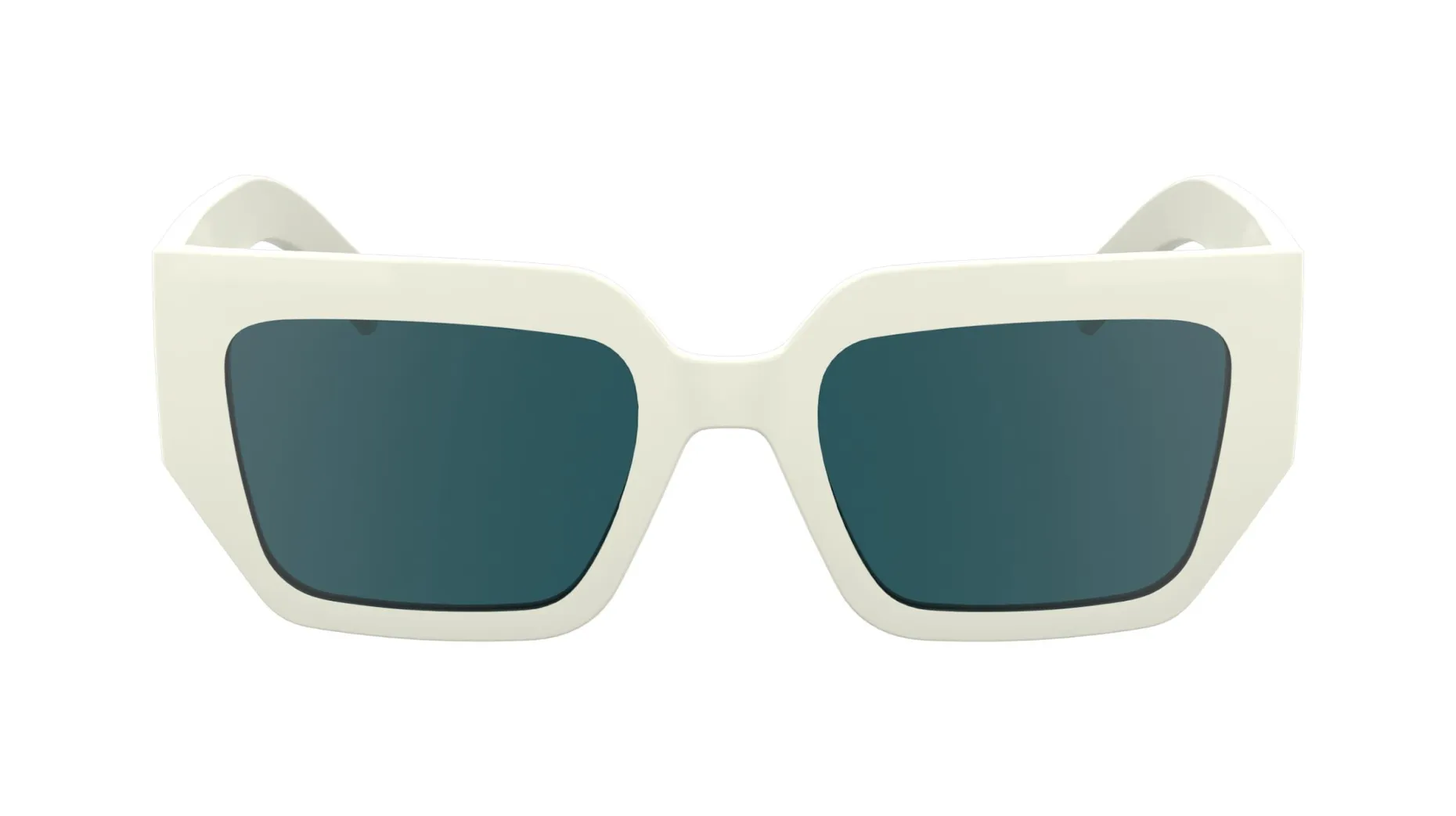 Gafas de sol Karl Lagerfeld KL6166S