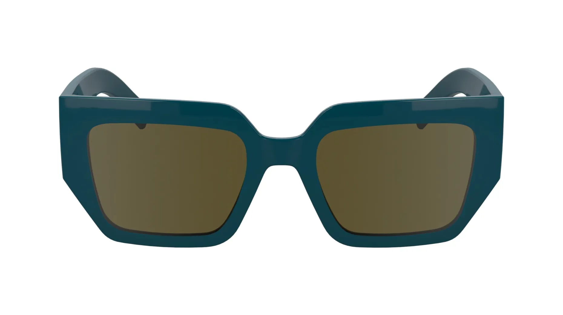 Gafas de sol Karl Lagerfeld KL6166S