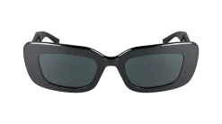 Gafas de sol Karl Lagerfeld KL6164S