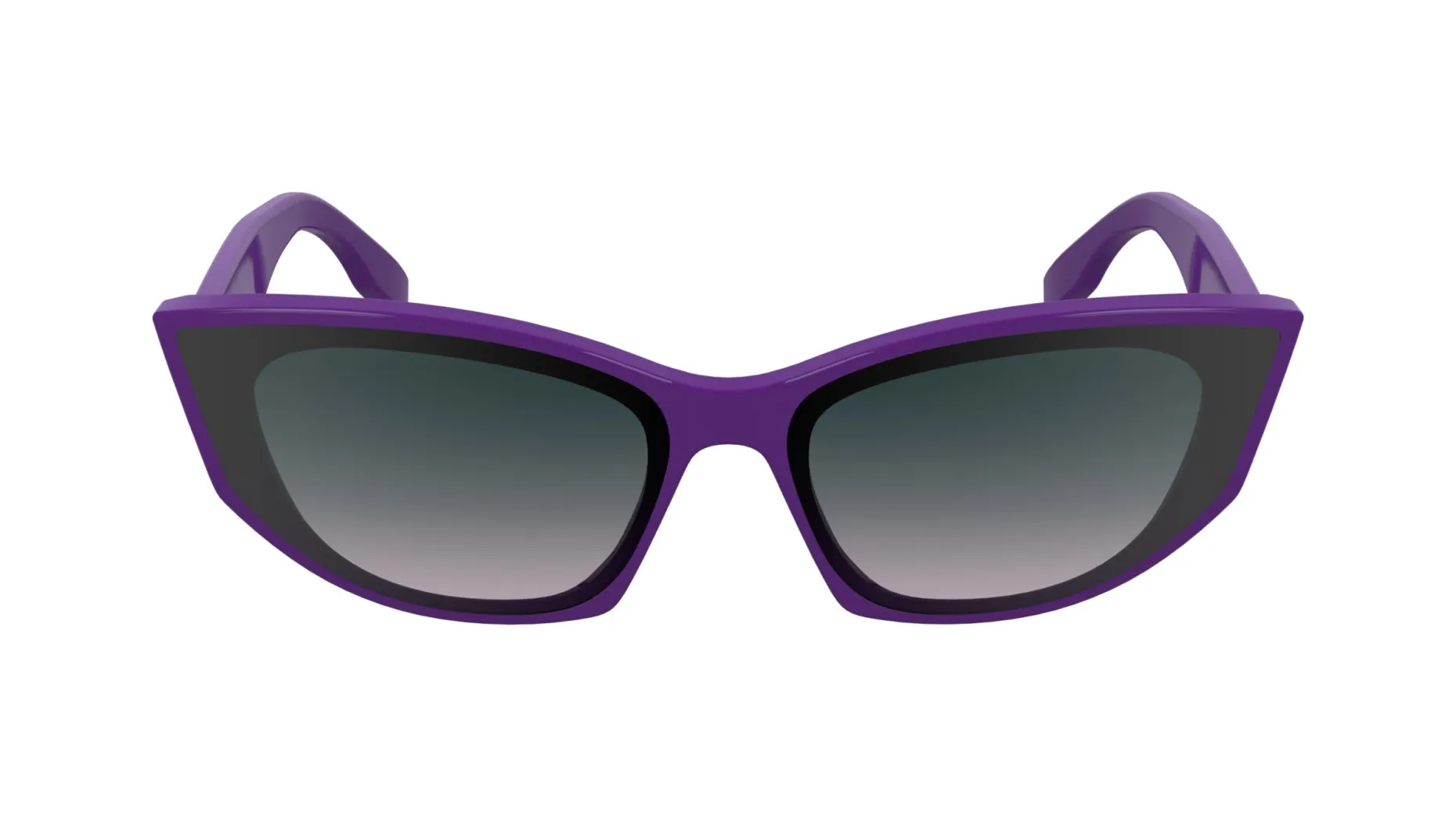 Gafas de sol Karl Lagerfeld KL6162S