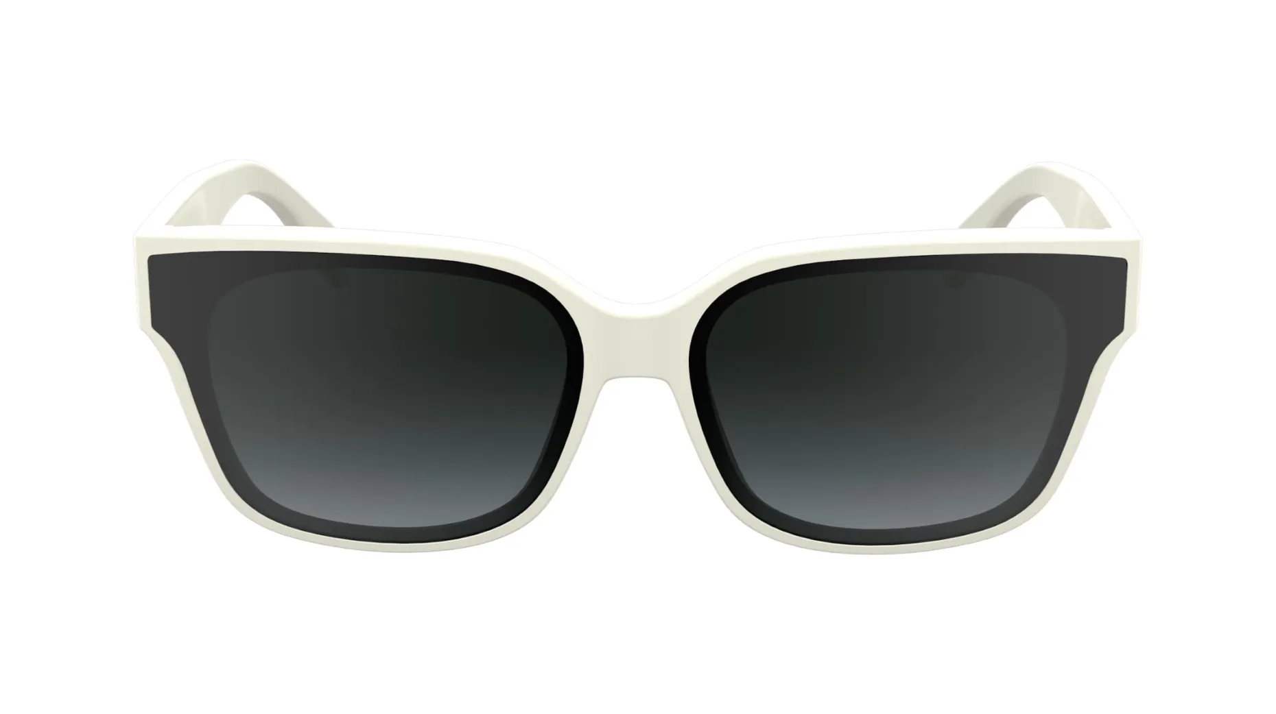Gafas de sol Karl Lagerfeld KL6161S