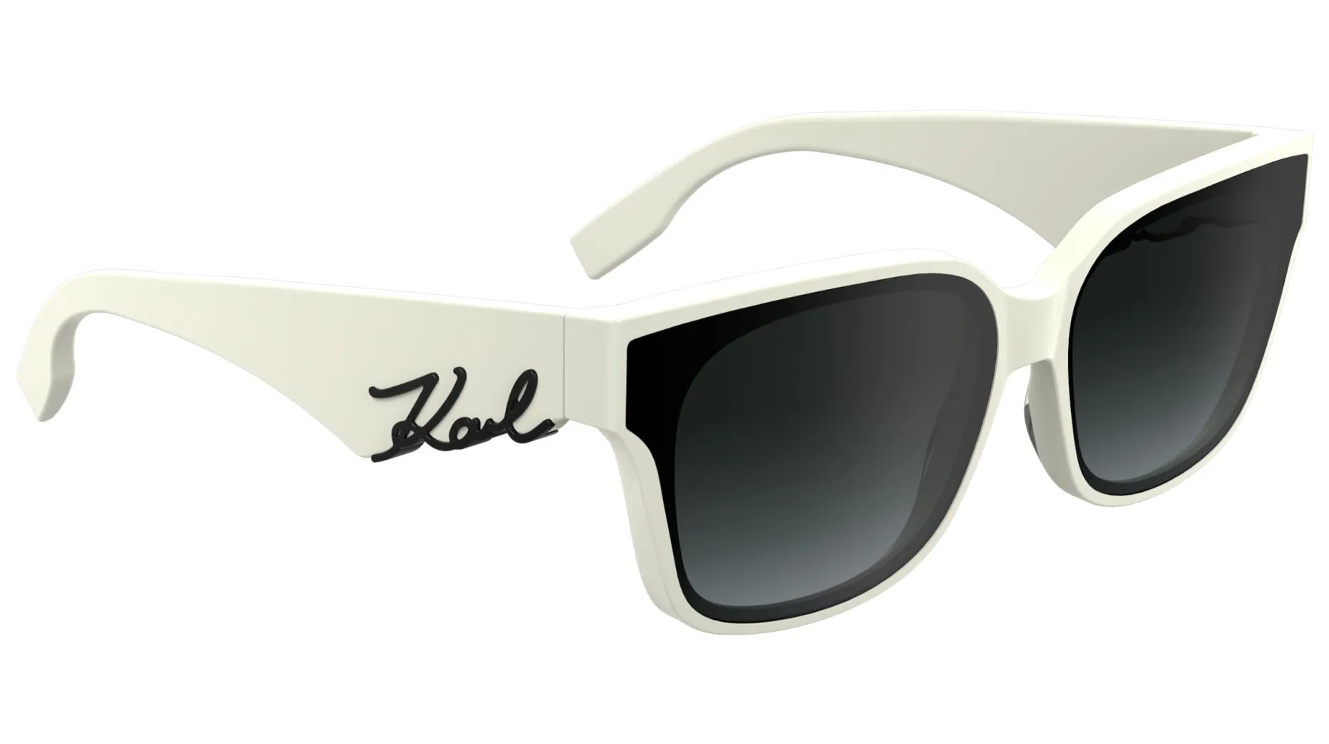 Gafas de sol Karl Lagerfeld KL6161S