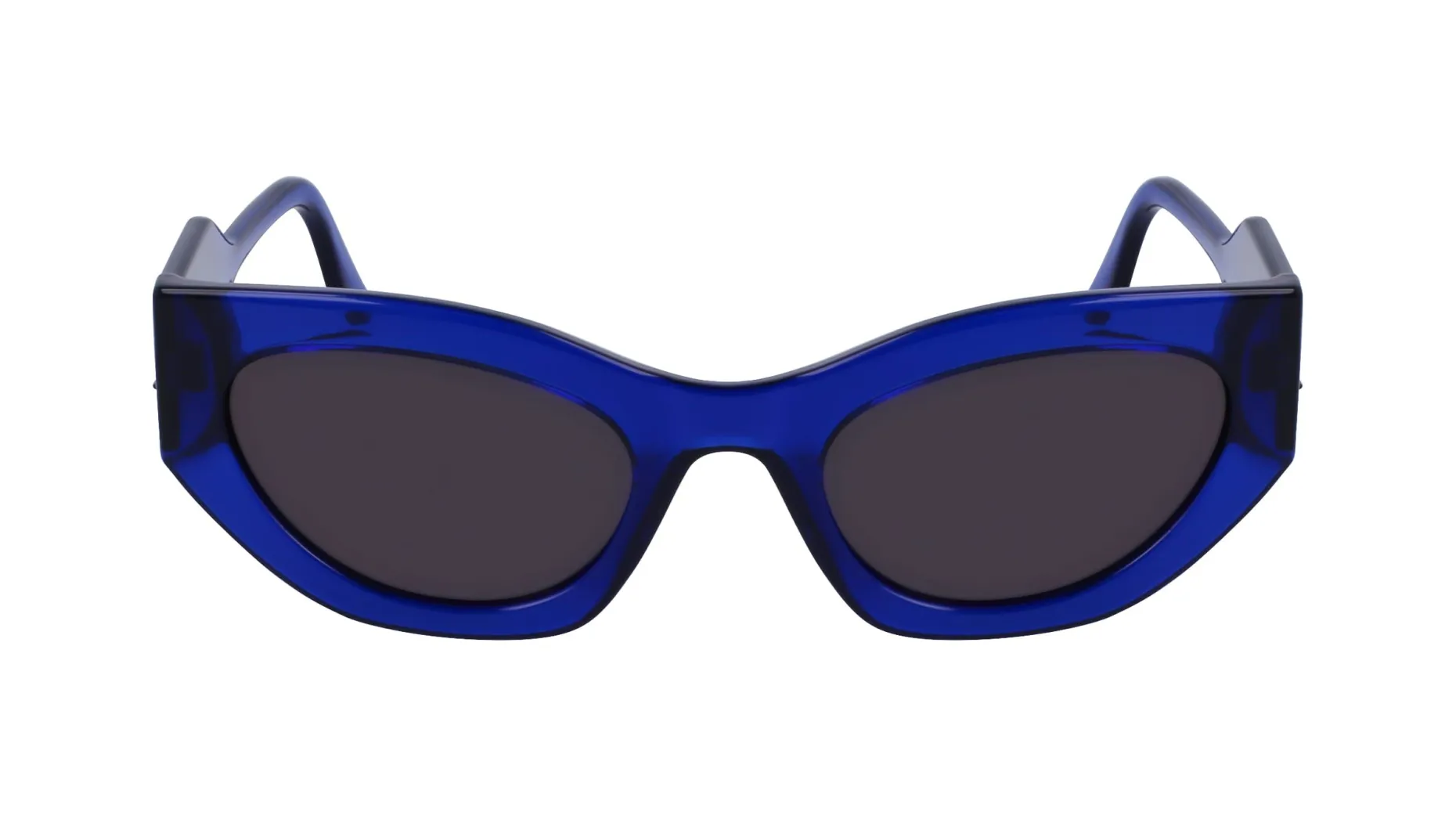 Gafas de sol Karl Lagerfeld KL6122S