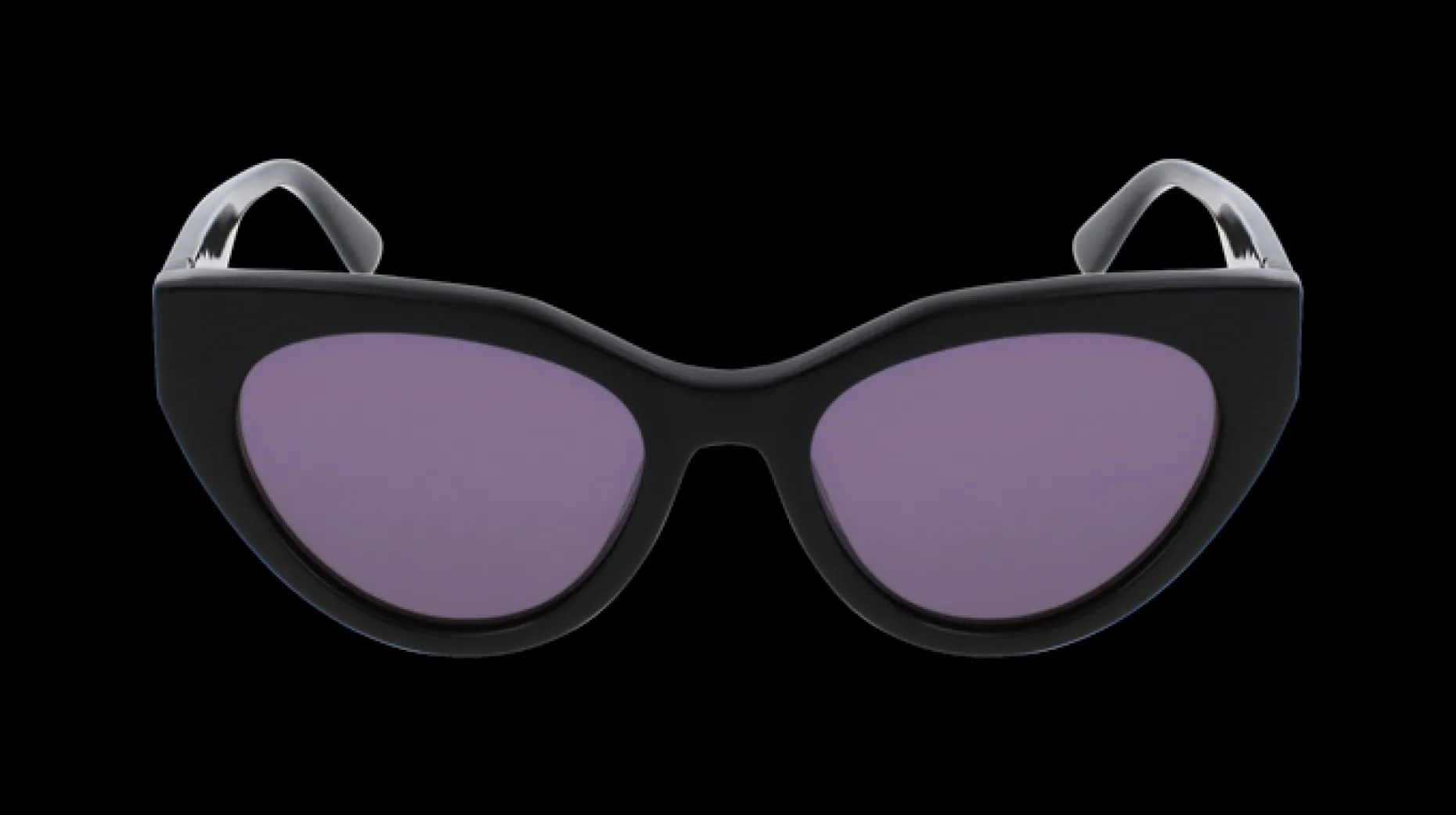 Gafas de sol Karl Lagerfeld KL6047S