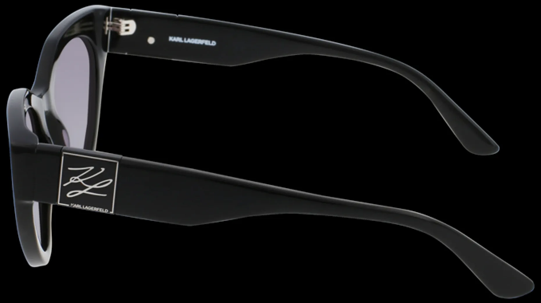 Gafas de sol Karl Lagerfeld KL6047S