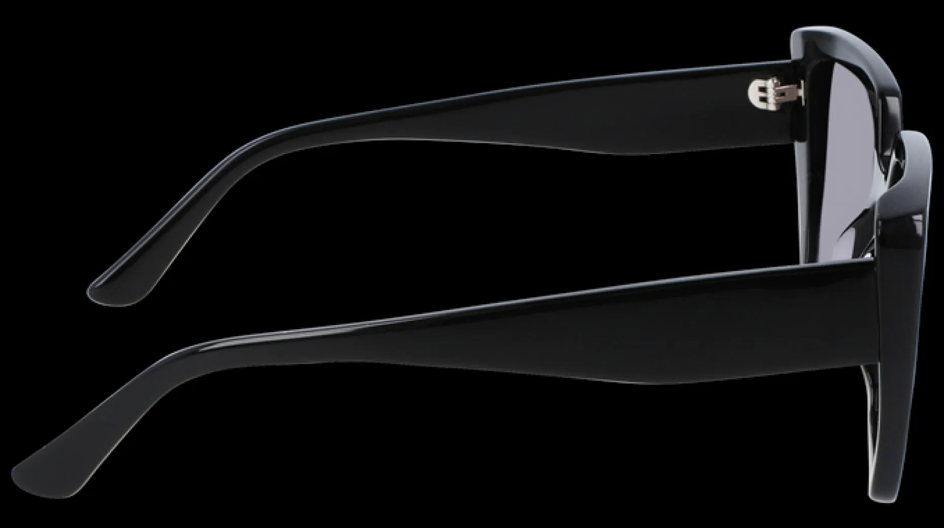 Gafas de sol Karl Lagerfeld KL6036S