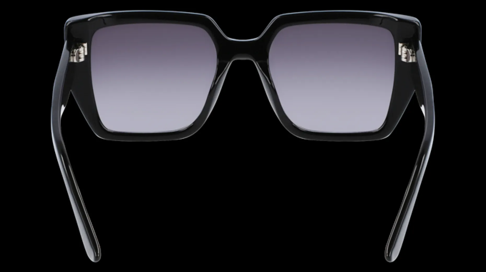 Gafas de sol Karl Lagerfeld KL6036S