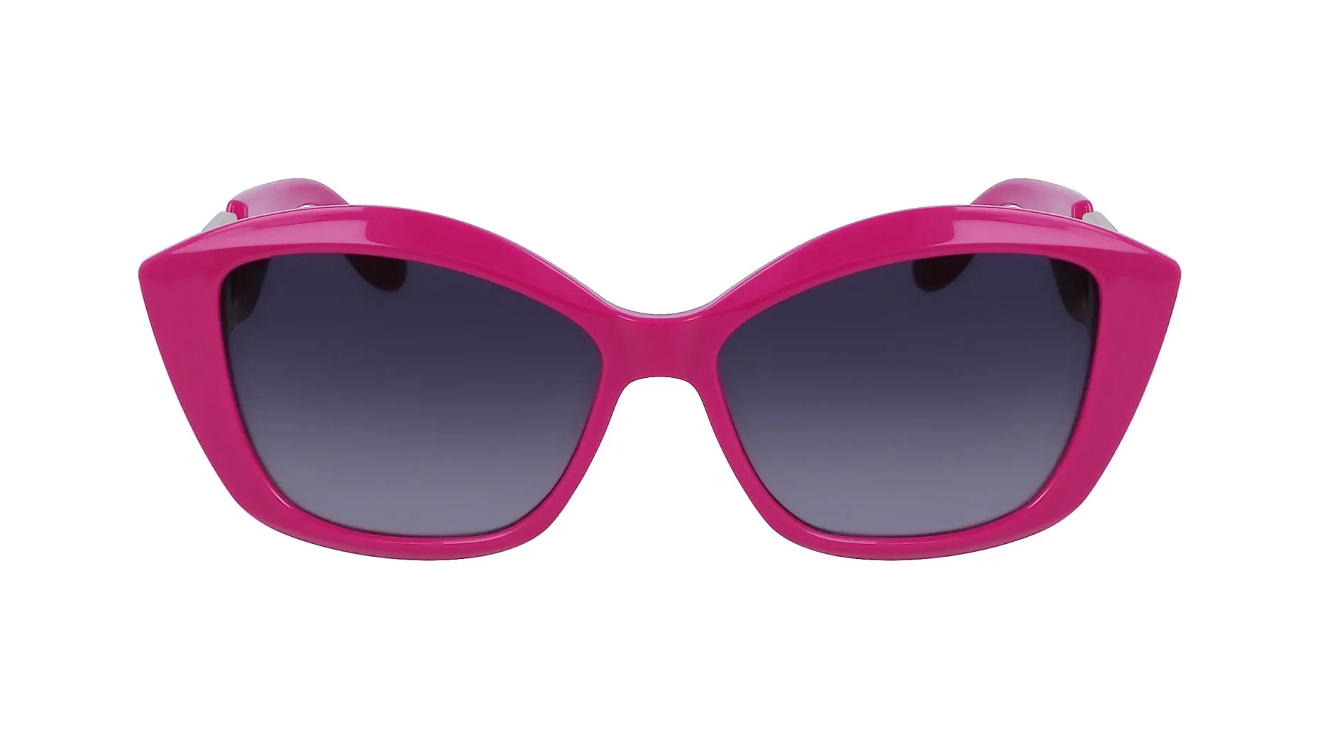 Gafas de sol Karl Lagerfeld KL6102S
