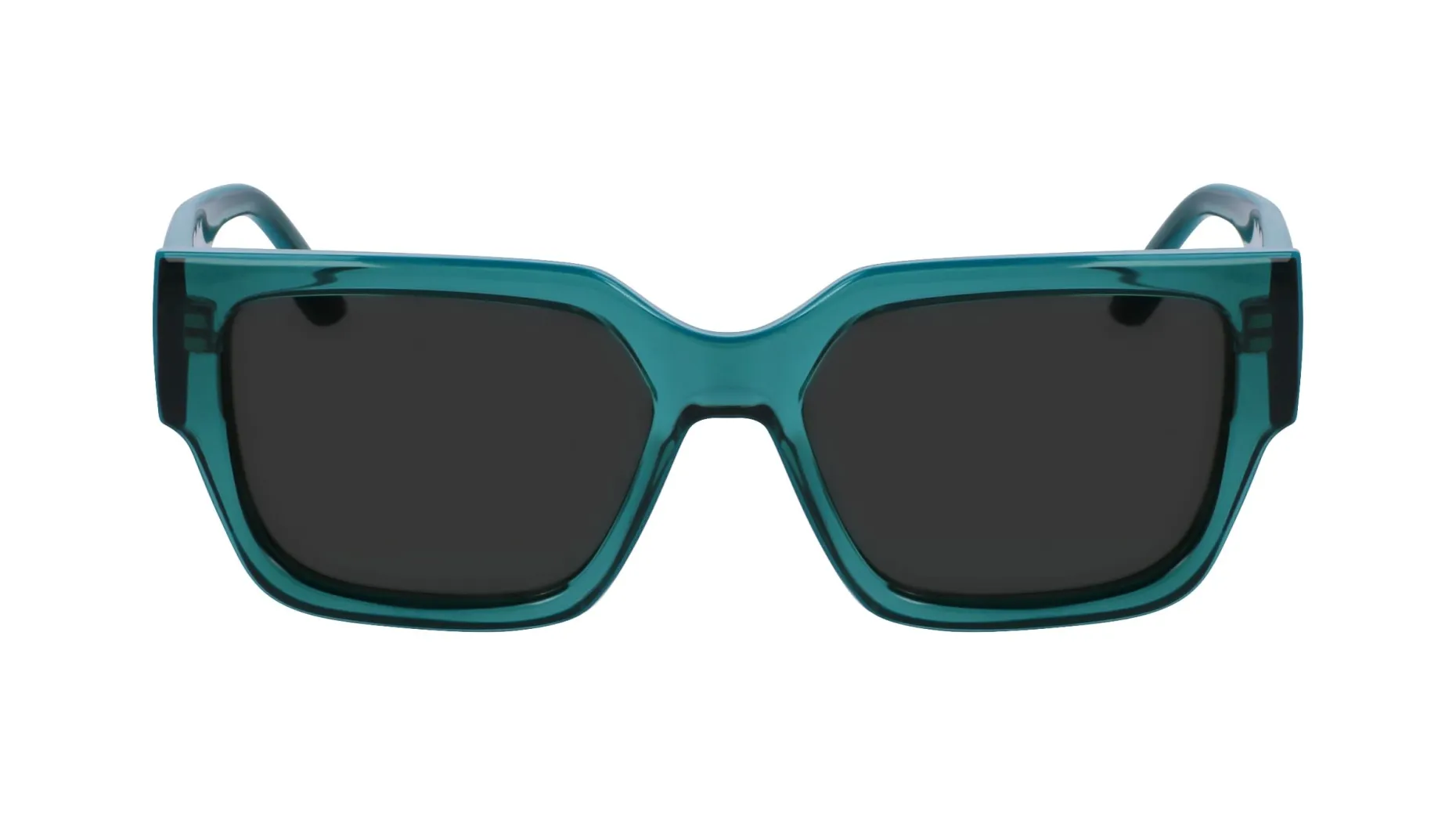 Gafas de sol Karl Lagerfeld KL6142S