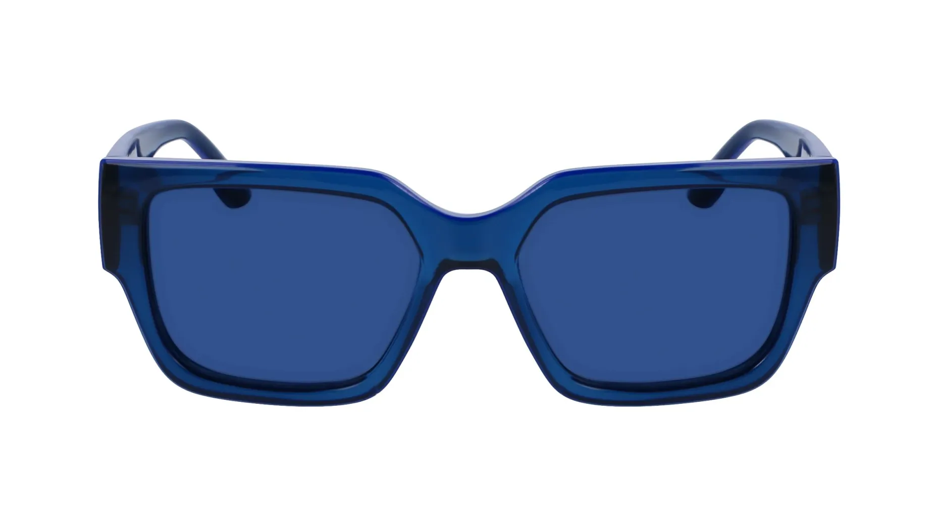 Gafas de sol Karl Lagerfeld KL6142S