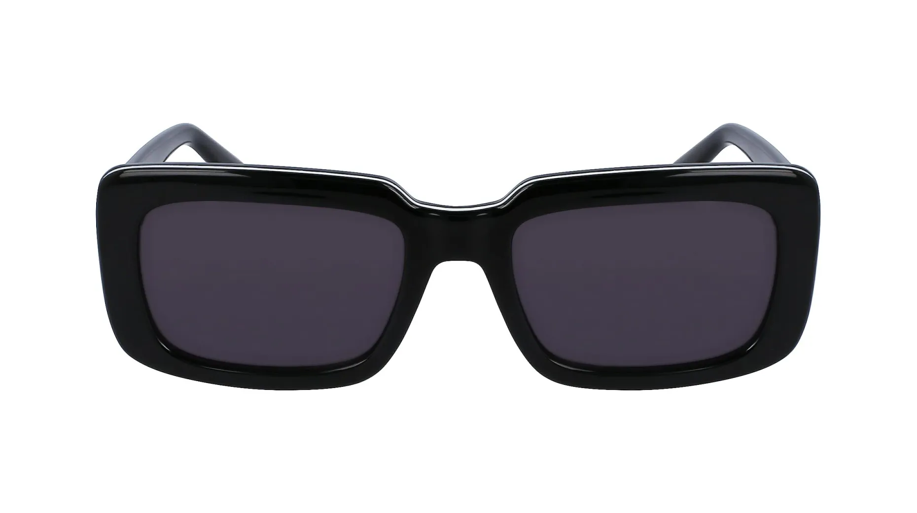 Gafas de sol Karl Lagerfeld KL6101S