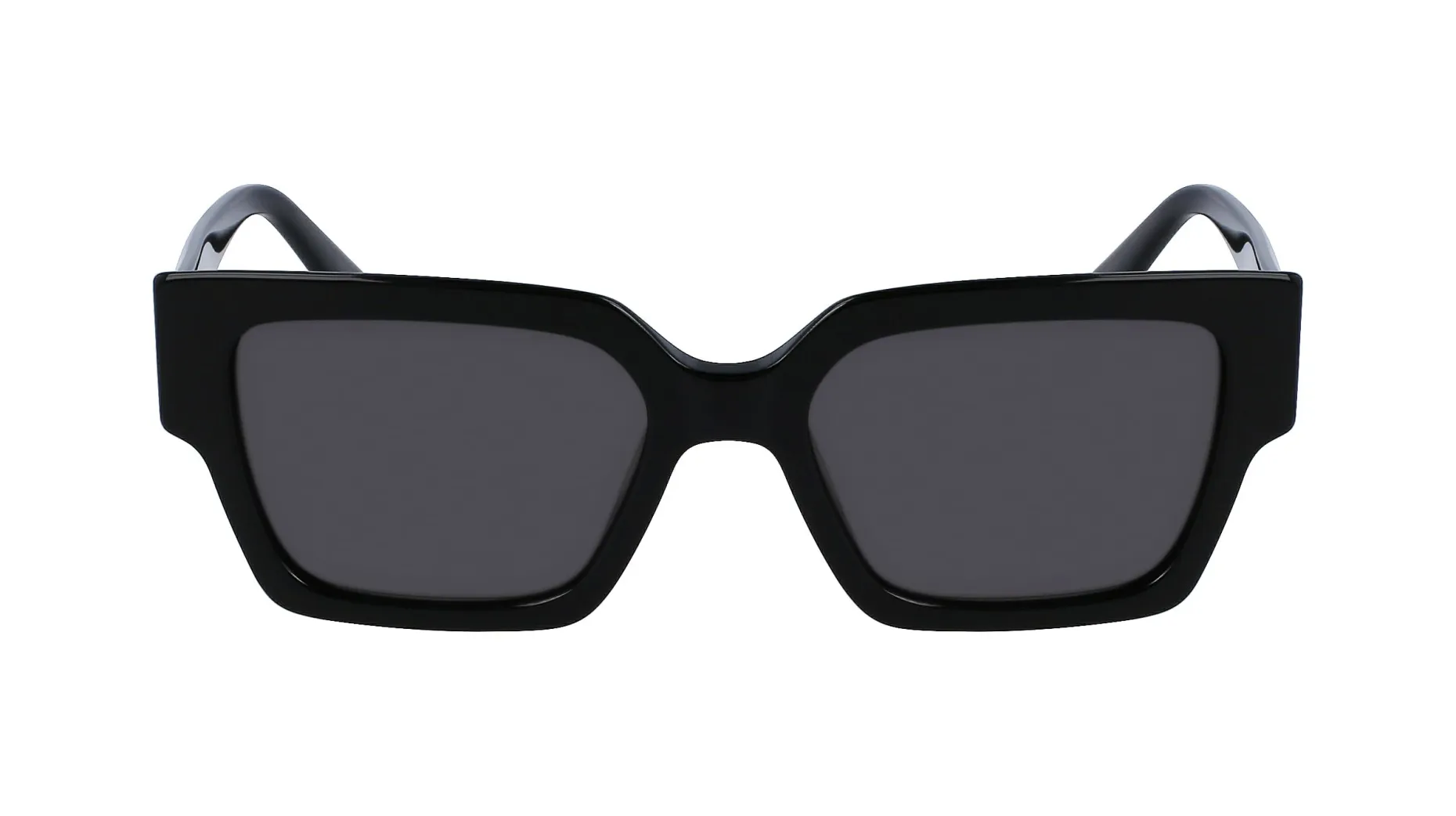 Gafas de sol Karl Lagerfeld KL6089S