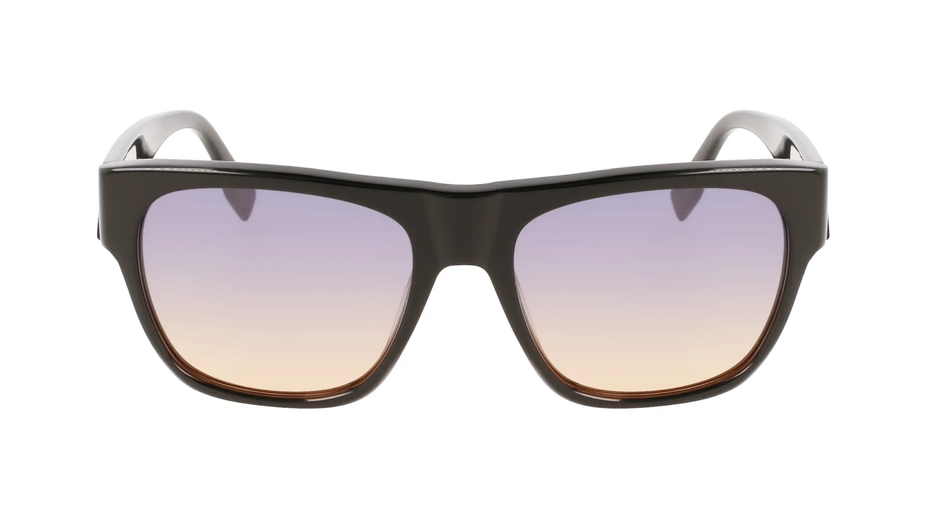 Gafas de sol Karl Lagerfeld KL6074S