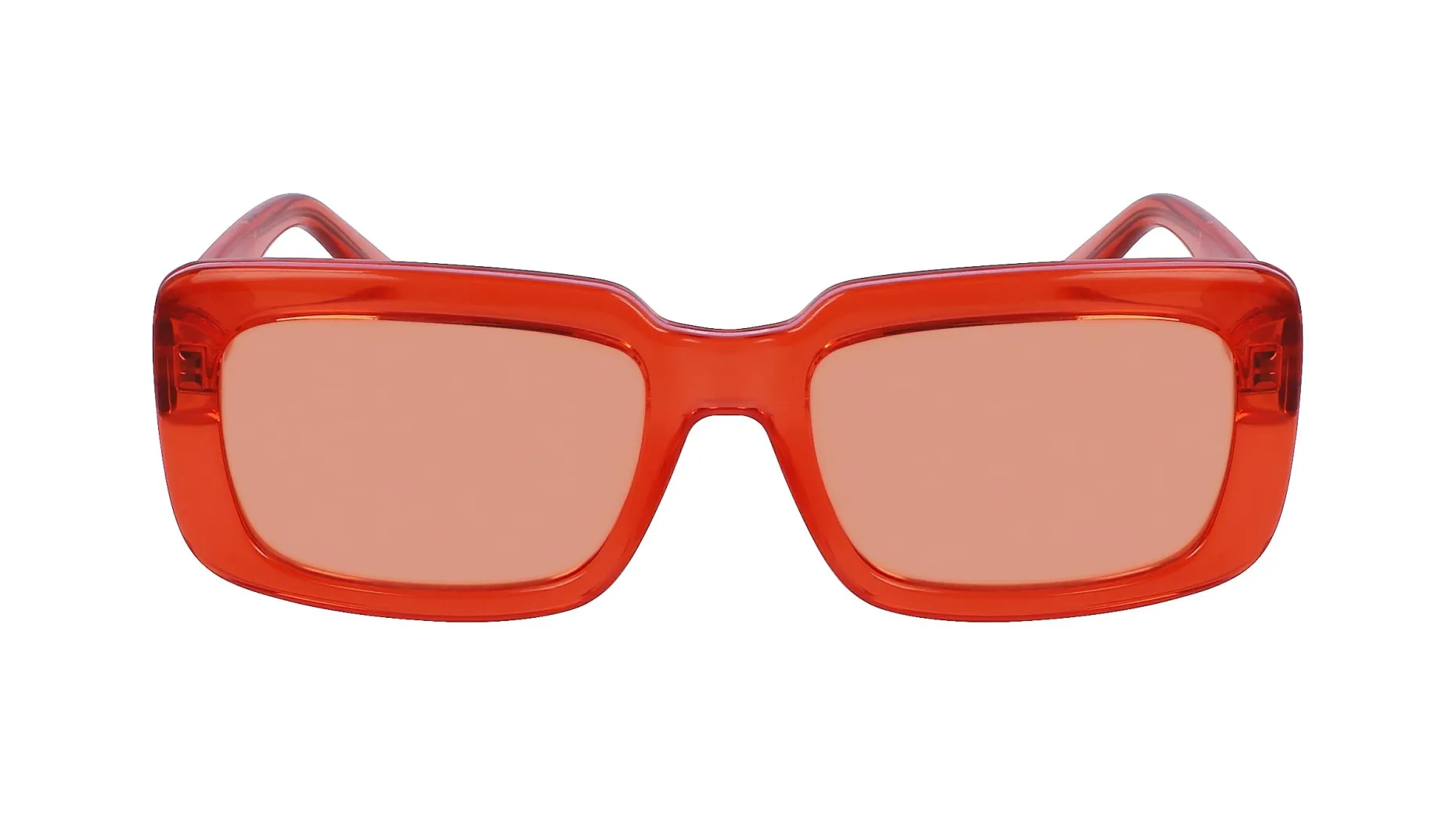 Gafas de sol Karl Lagerfeld KL6101S