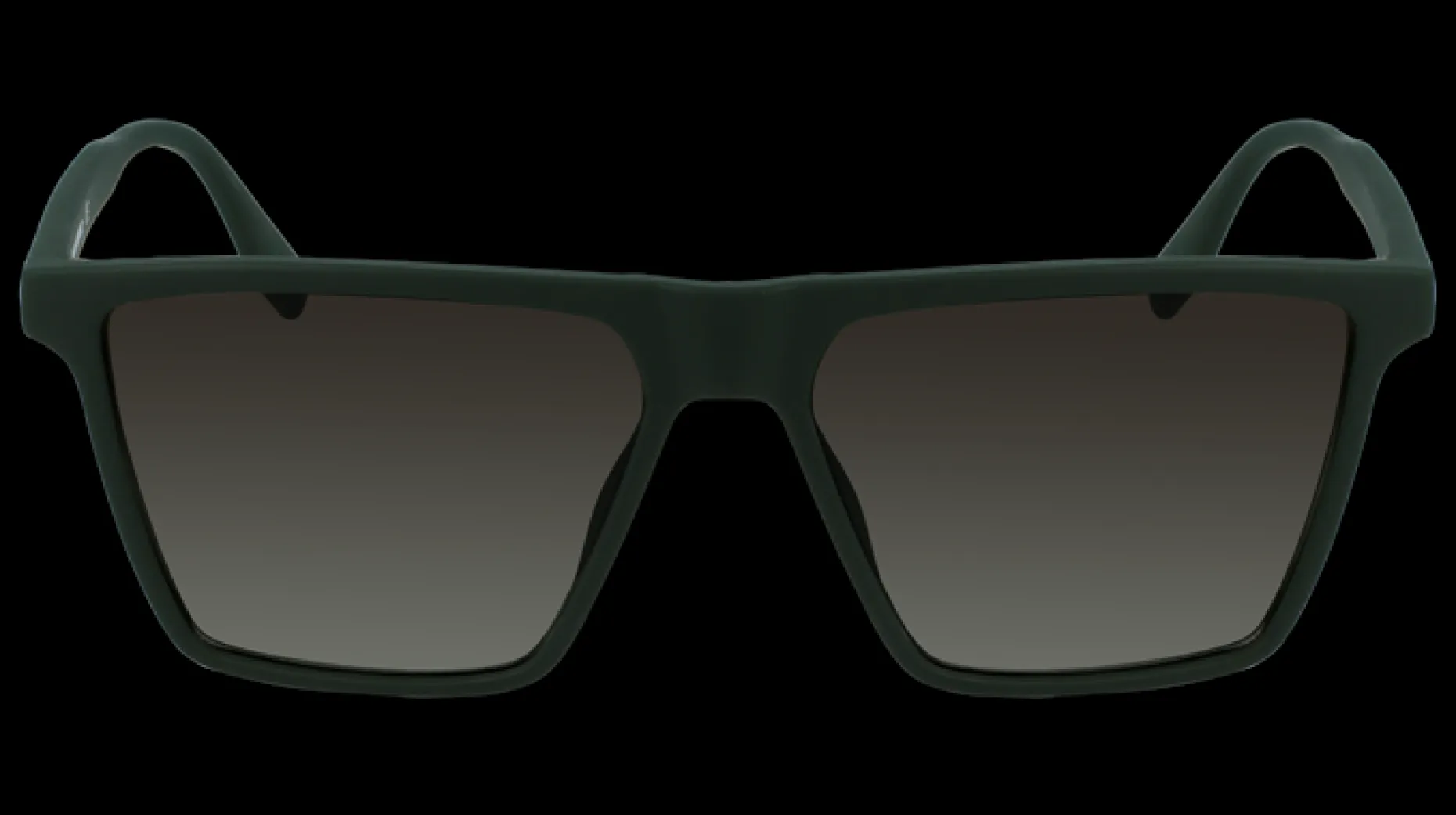 Gafas de sol Karl Lagerfeld KL6060S