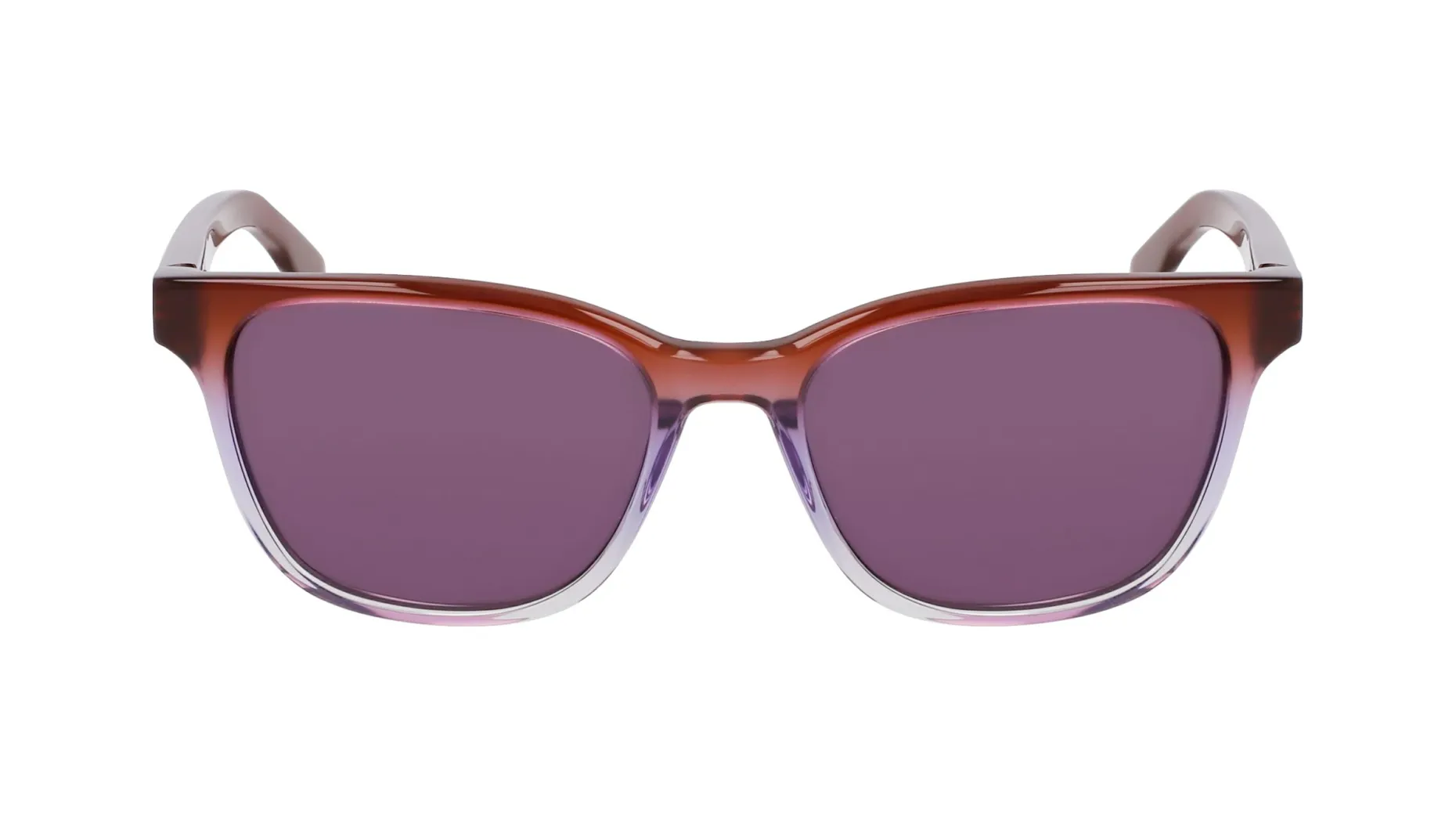 Gafas de sol Nike NIKE ECLIPSE SHADOW EV24047