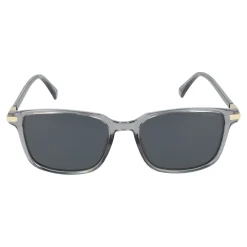 Gafas de sol Polaroid PLD 4169/G/S/X
