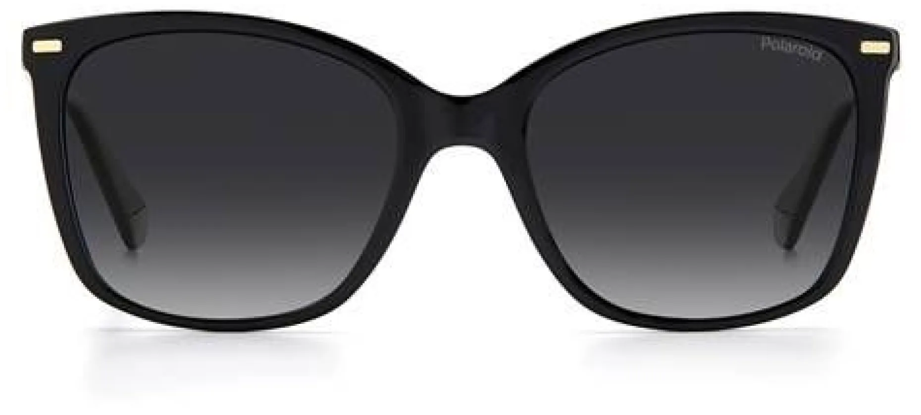 Gafas de sol Polaroid PLD4108/S