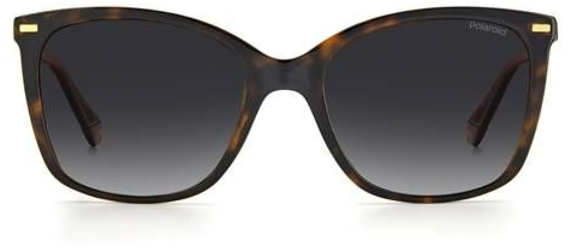 Gafas de sol Polaroid PLD4108/S