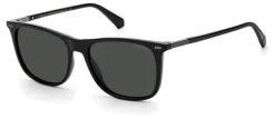 Gafas de sol Polaroid PLD2109/S