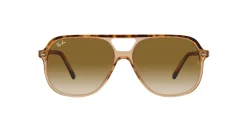 Gafas de sol Ray Ban 0RB2198
