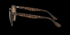 Gafas de sol Ray Ban 0RB4305