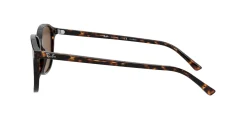 Gafas de sol Ray Ban 0RB2193