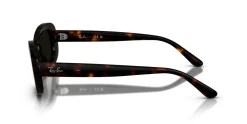 Gafas de sol Ray Ban 0RB2221