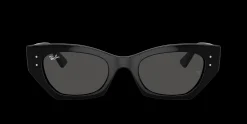 Gafas de sol Ray Ban TERU 0RB4425