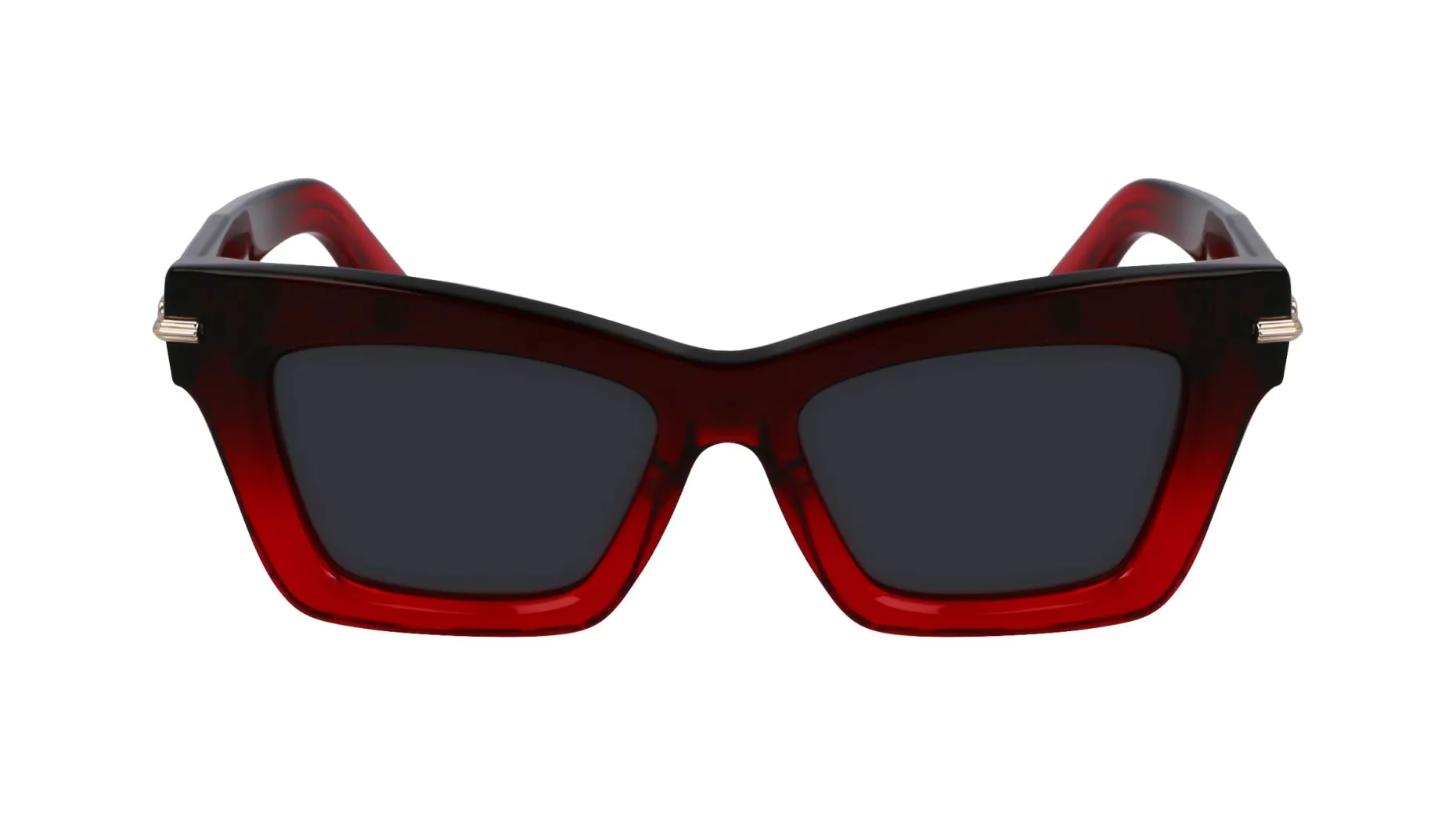 Gafas de sol Salvatore Ferragamo SF2031S