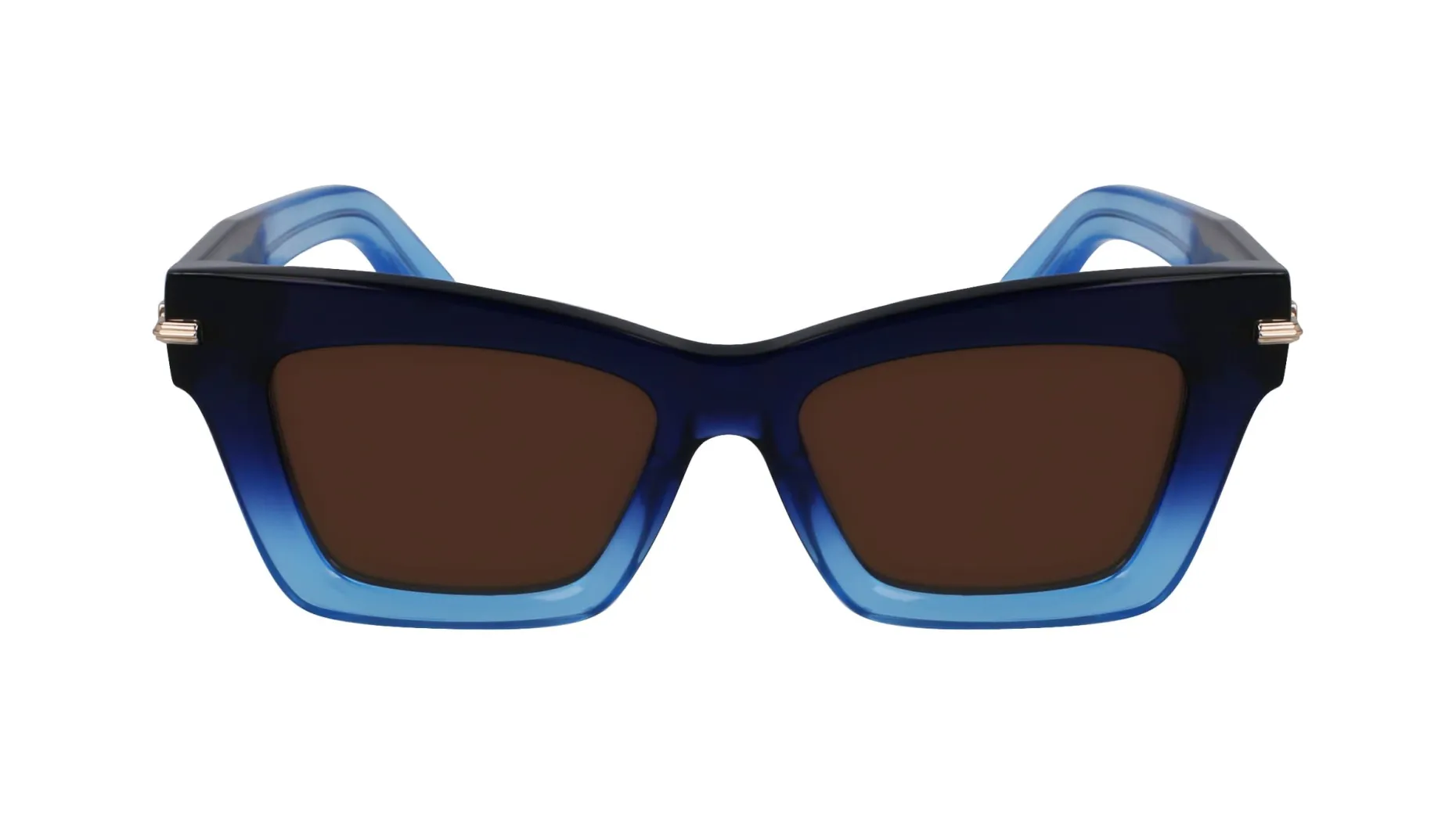 Gafas de sol Salvatore Ferragamo SF2031S