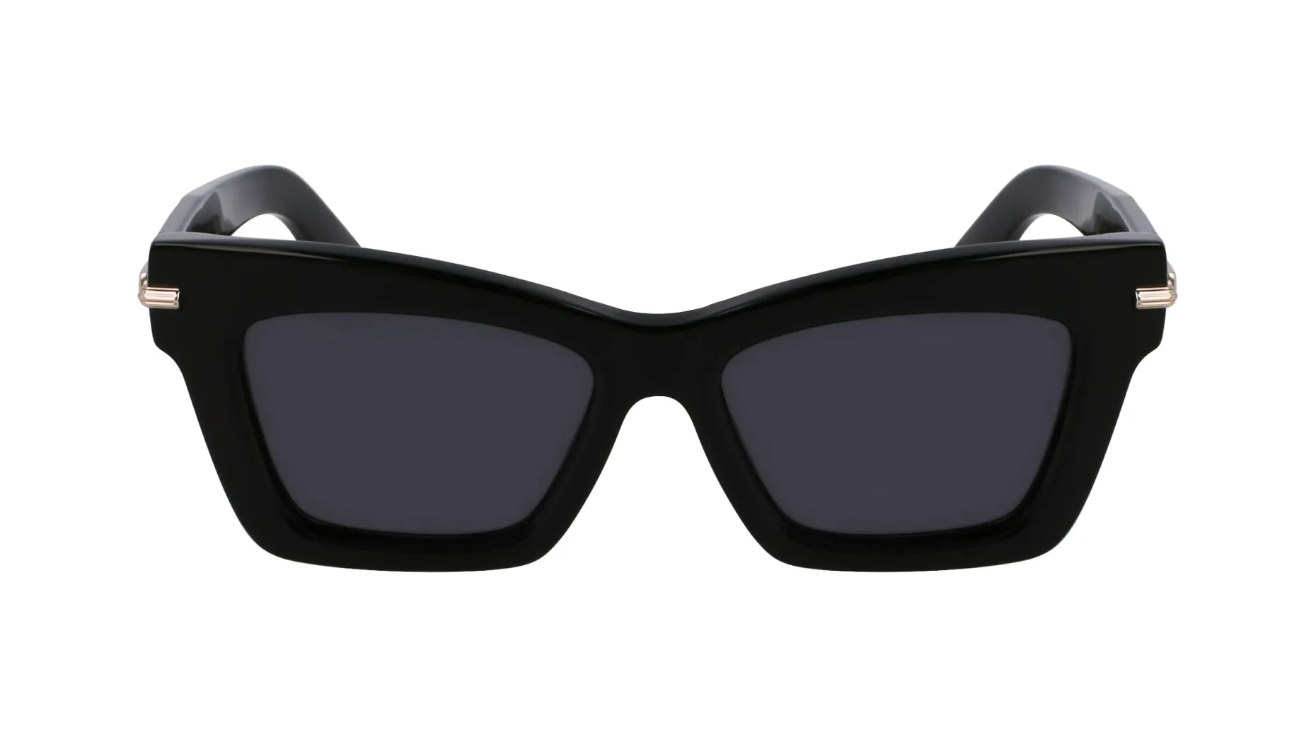 Gafas de sol Salvatore Ferragamo SF2031S