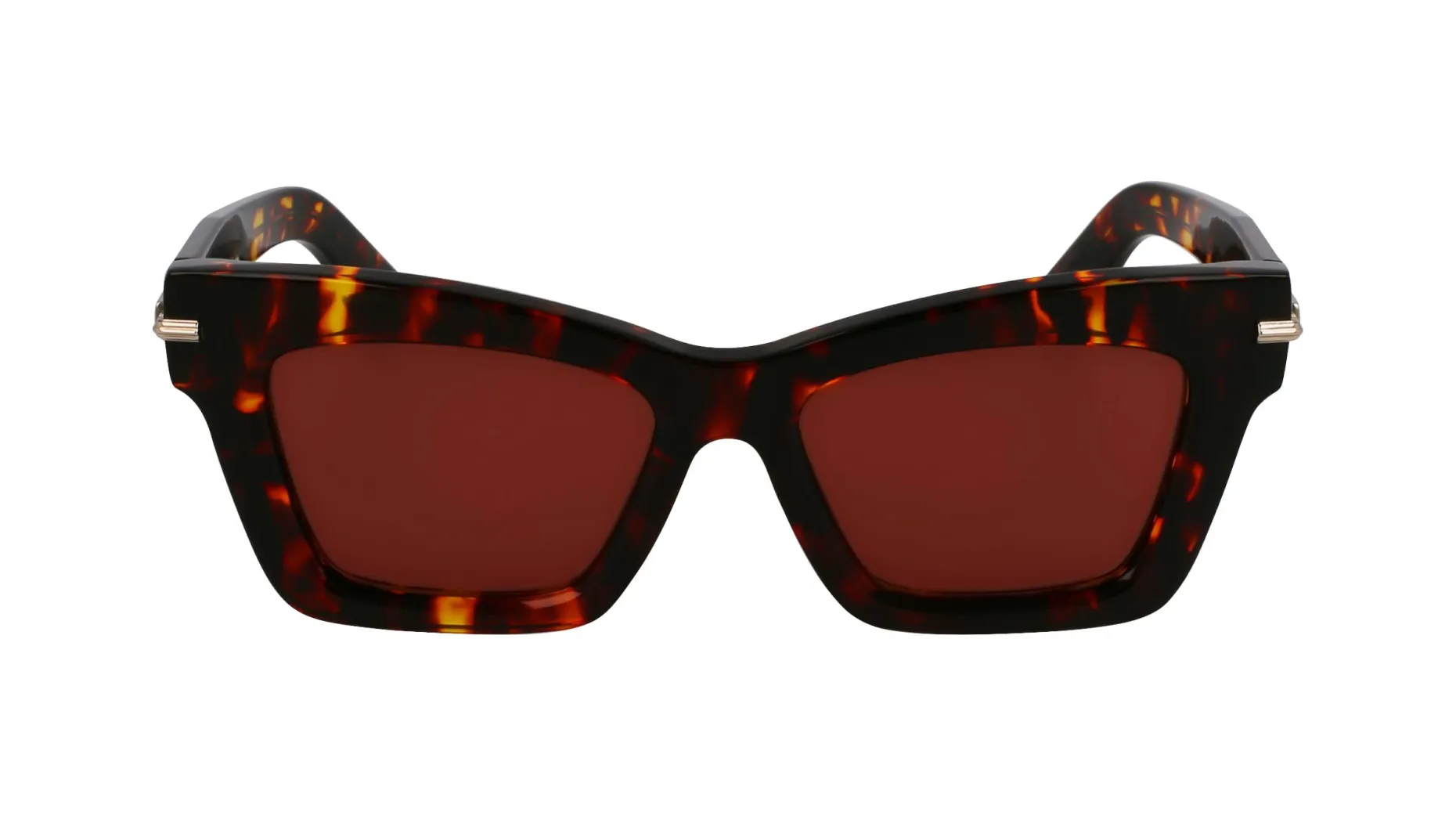 Gafas de sol Salvatore Ferragamo SF2031S