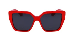 Gafas de sol Salvatore Ferragamo SF1106S