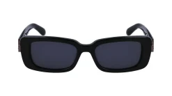 Gafas de sol Salvatore Ferragamo SF1105S