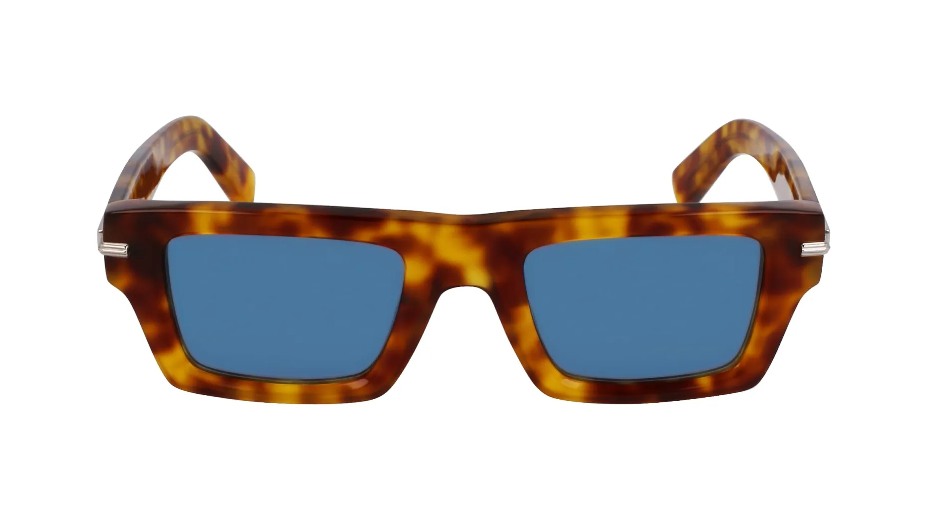 Gafas de sol Salvatore Ferragamo SF2034S
