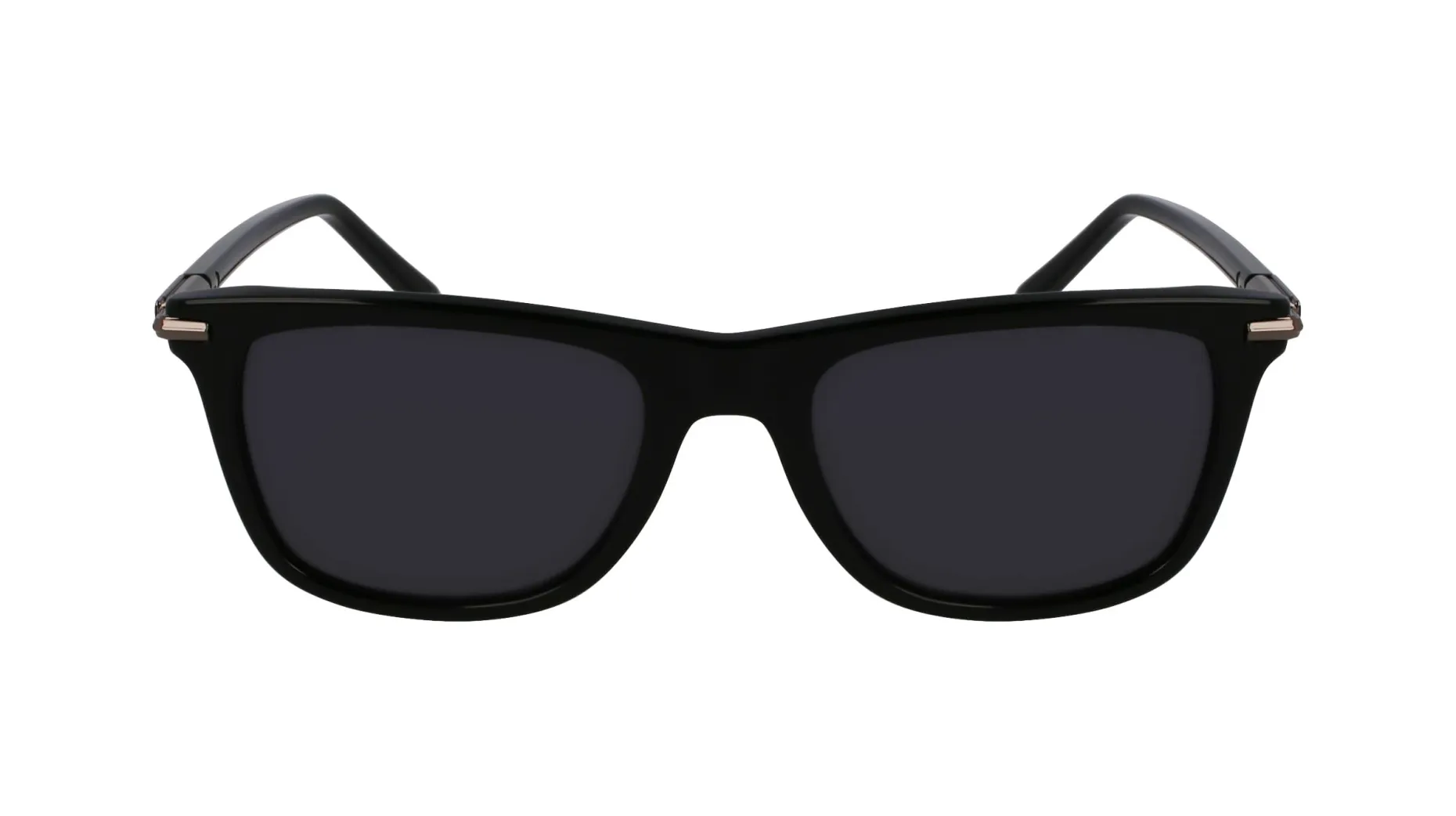 Gafas de sol Salvatore Ferragamo SF2028S